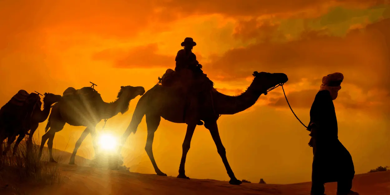 Dakhla Vibes Lifestyle Services